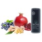 NOVA - Boisson Energisante Bio - Grenade, Myrtille et Gingembre