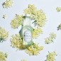 Limonade - Fleurs de Sureau Pétillante Bio 250ml - FRUJI Limonade - Fleurs de Sureau Pétillante Bio 250ml - FRUJI
