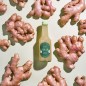 Lemonade - Organic Ginger Beer Alcohol Free - FRUJI