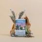 Pack de Té Indígena para Dormir - Roogenic Pack de Té Indígena para Dormir - Roogenic