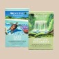 Pack de Inicio de Té Antiinflamatorio - ROOGENIC Pack de Inicio de Té Antiinflamatorio - ROOGENIC