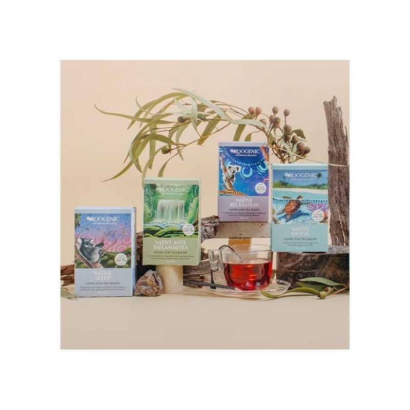 Discovery Pack - Té Indígena - Roogenic