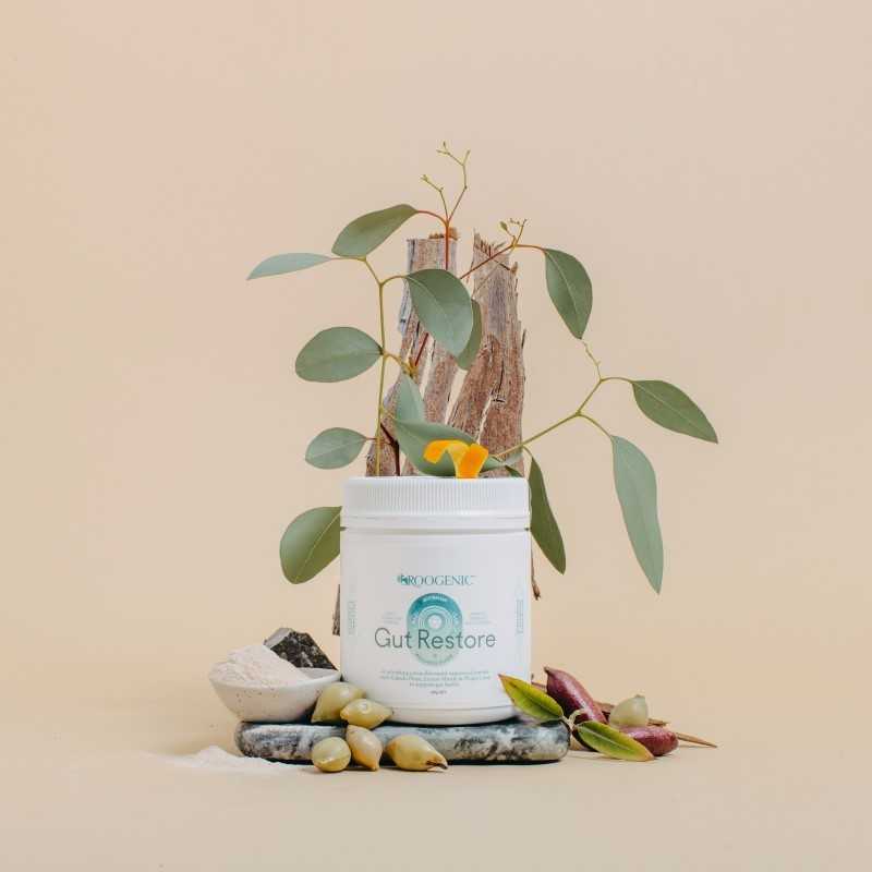 Gut Restore Superfood Powder 180g - Roogenic