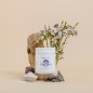 Pack Recuperación - Inflamación y sueño profundo - ROOGENIC